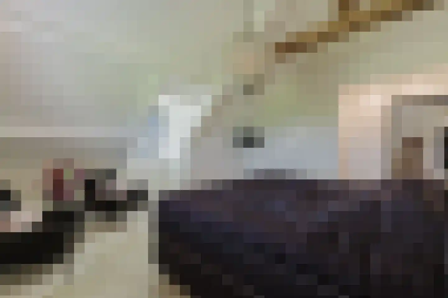 Raamloopweg 9 Klein Zundert thumbnail 38