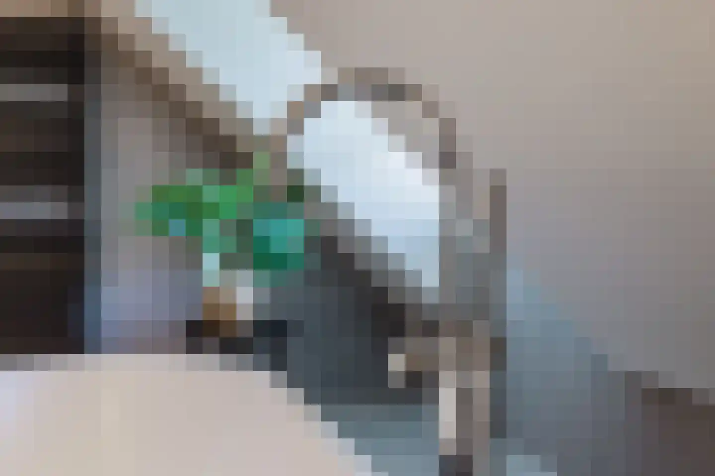 Raamloopweg 9 Klein Zundert thumbnail 47