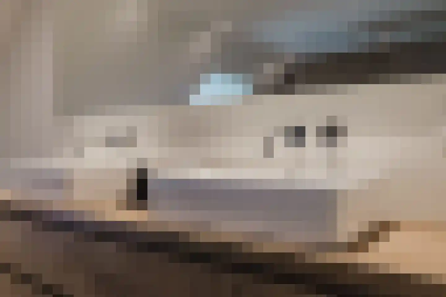 Raamloopweg 9 Klein Zundert thumbnail 50