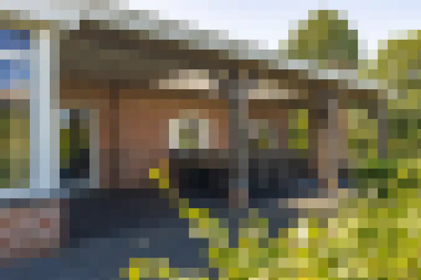 Raamloopweg 9 Klein Zundert thumbnail 57
