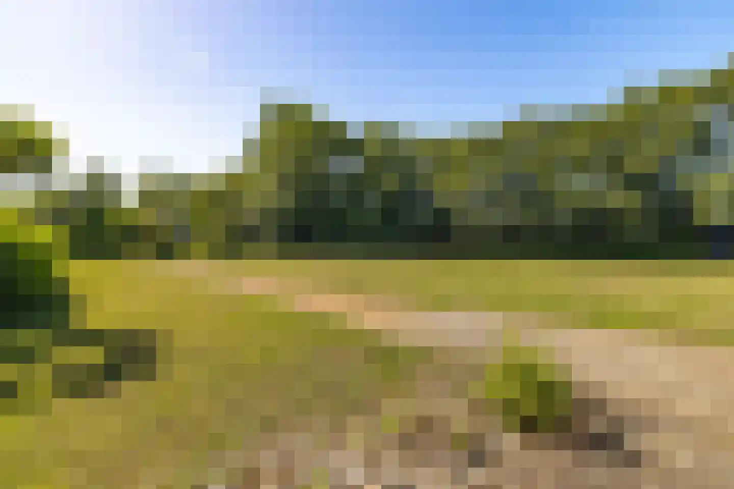 Raamloopweg 9 Klein Zundert thumbnail 66