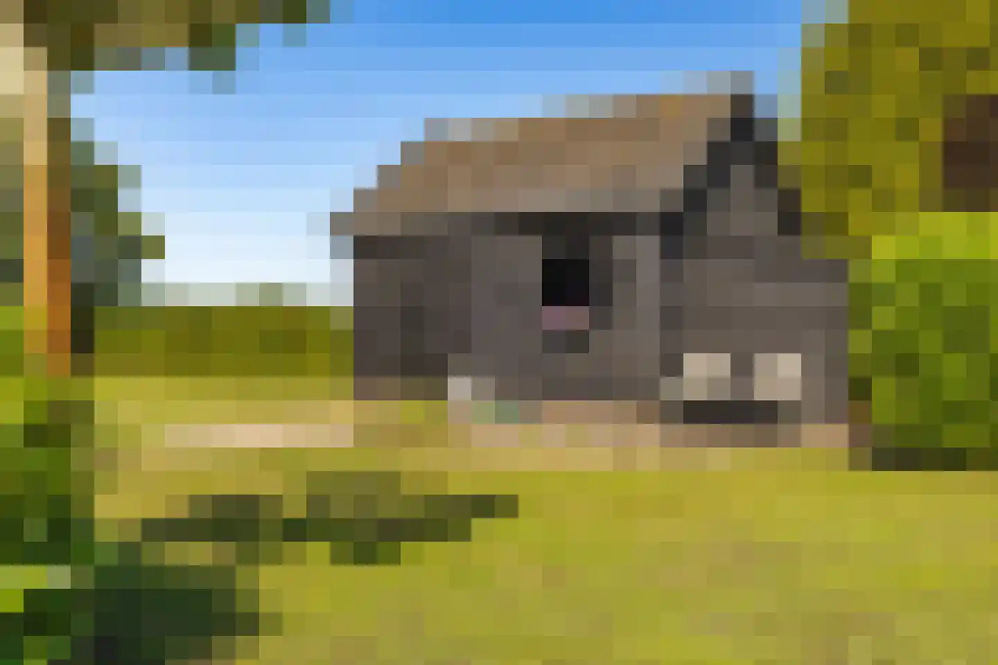 Raamloopweg 9 Klein Zundert thumbnail 68