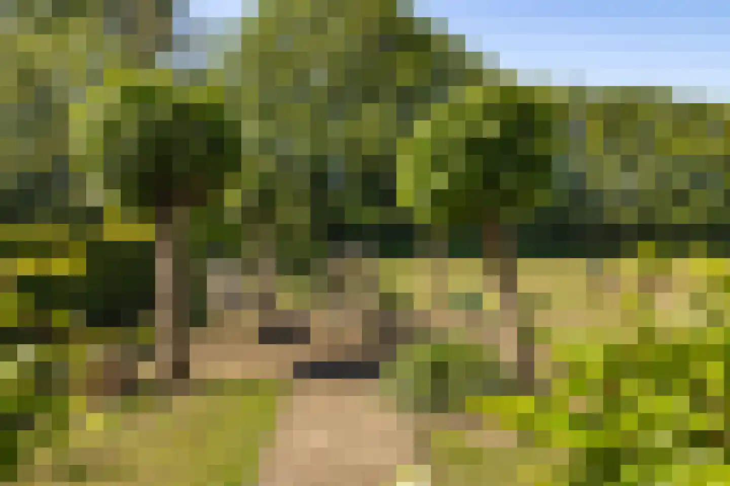 Raamloopweg 9 Klein Zundert thumbnail 69
