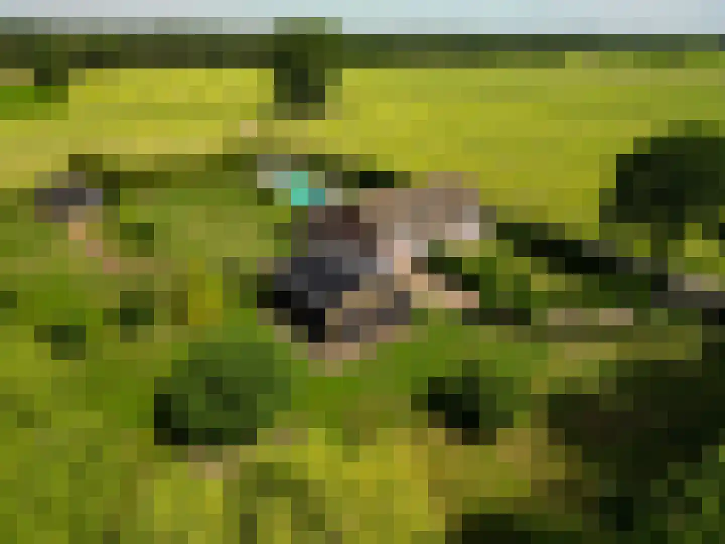Raamloopweg 9 Klein Zundert thumbnail 79