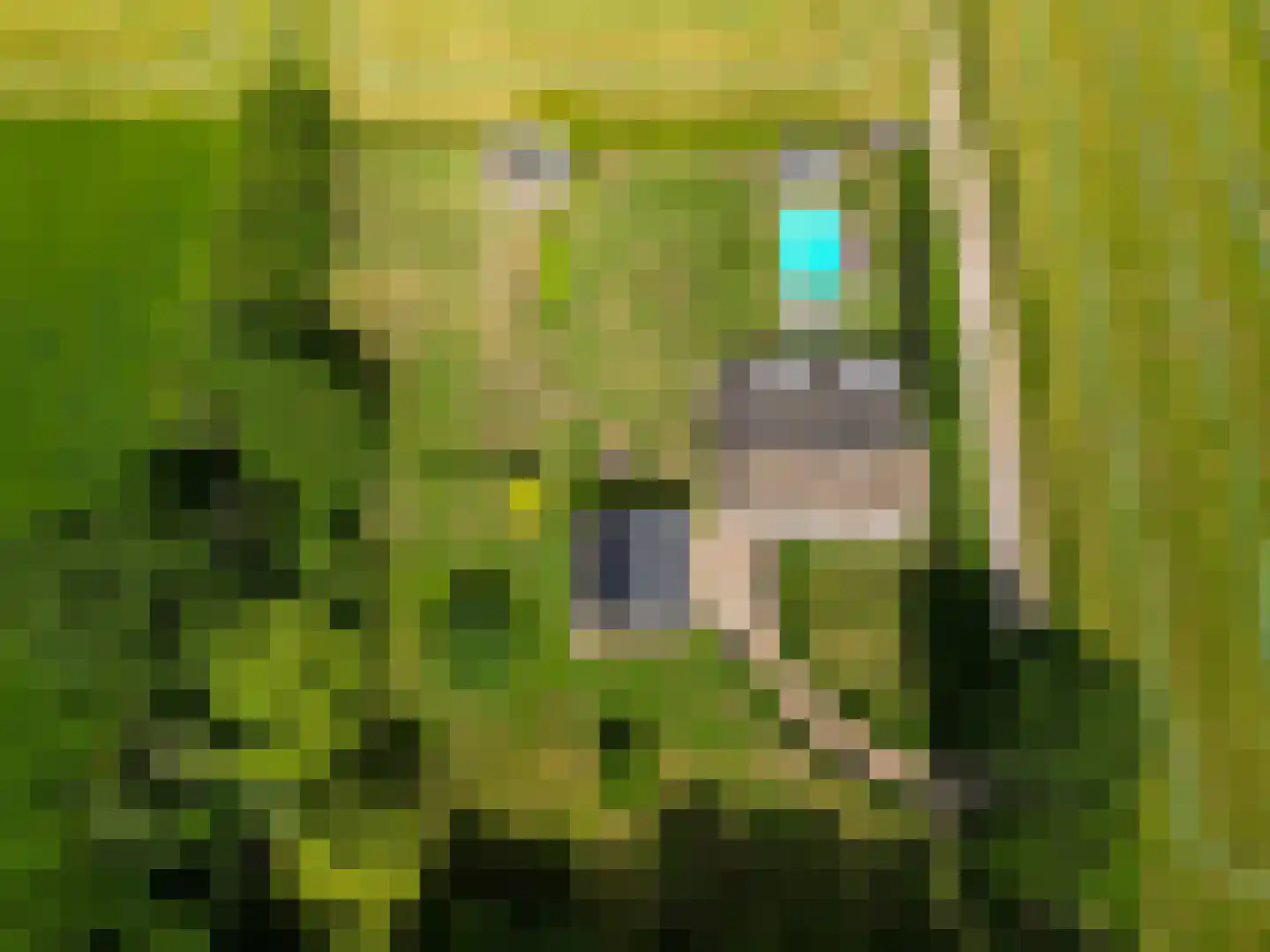 Raamloopweg 9 Klein Zundert thumbnail 8