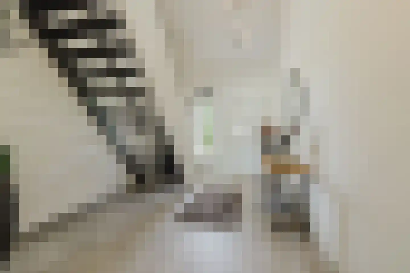 Raamloopweg 9 Klein Zundert thumbnail 9