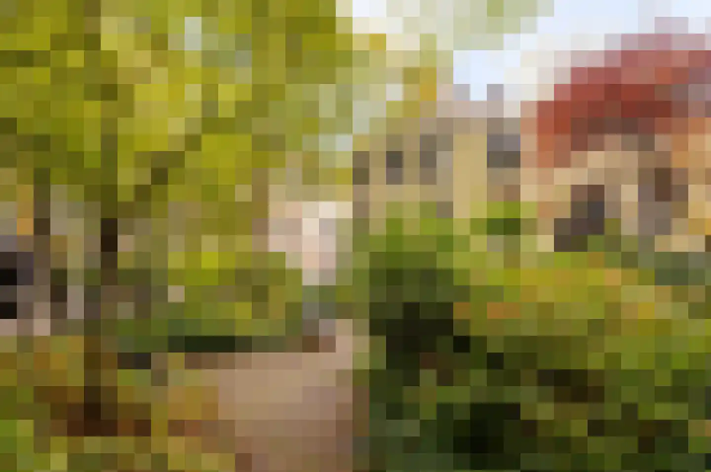 Raamplein 10 Amsterdam thumbnail 26