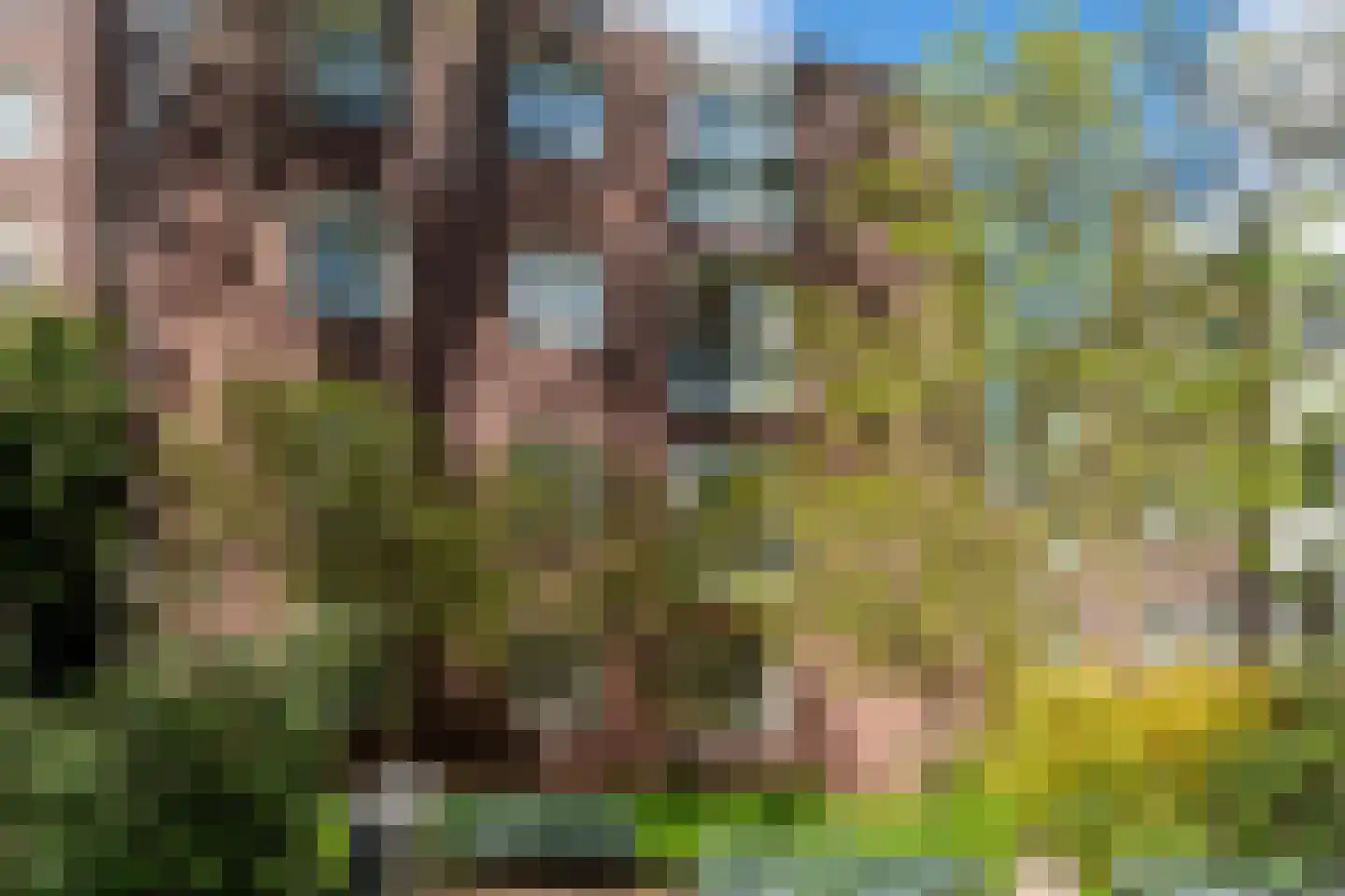 Raamplein 16 Amsterdam thumbnail 29