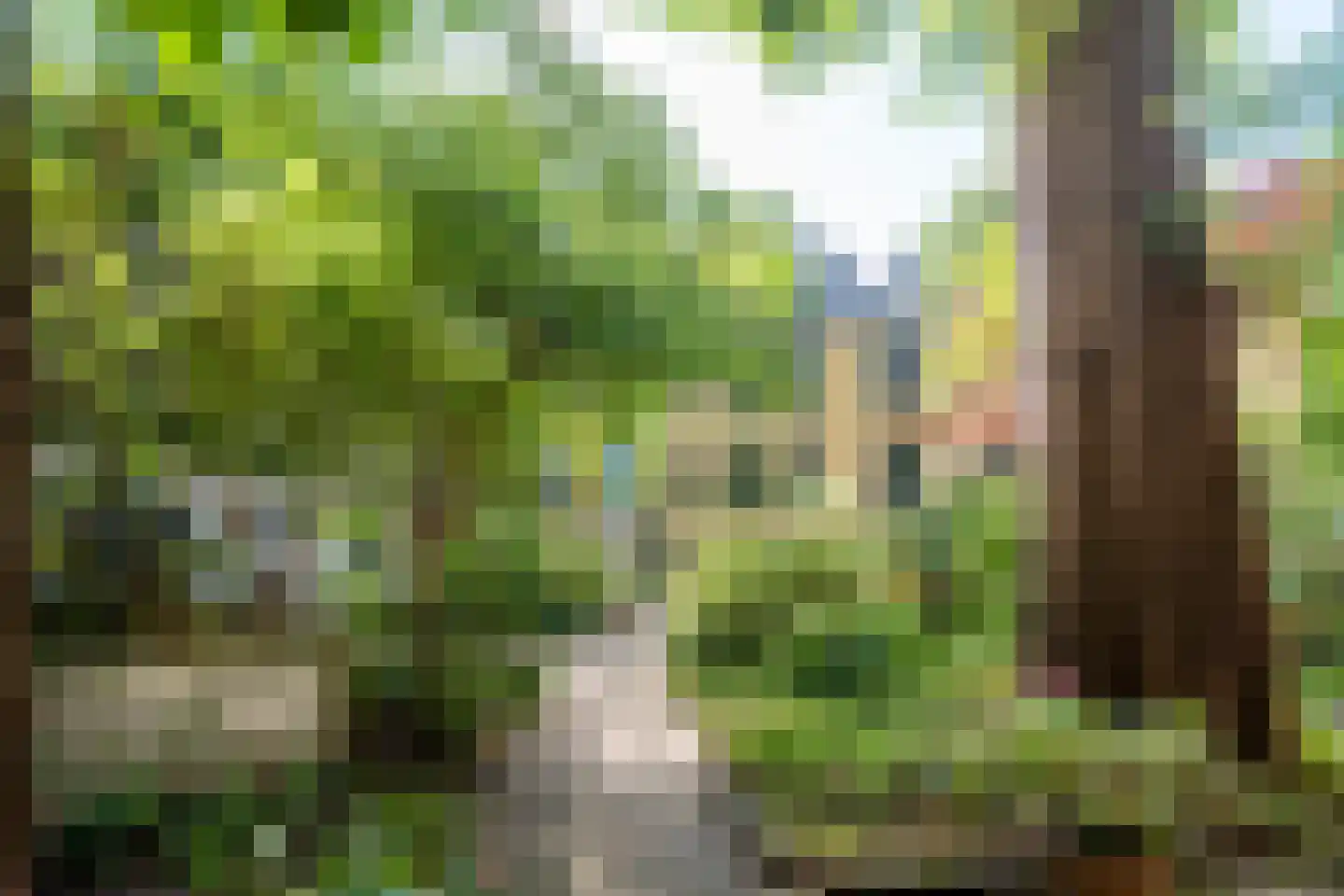 Raamplein 16 Amsterdam thumbnail 30