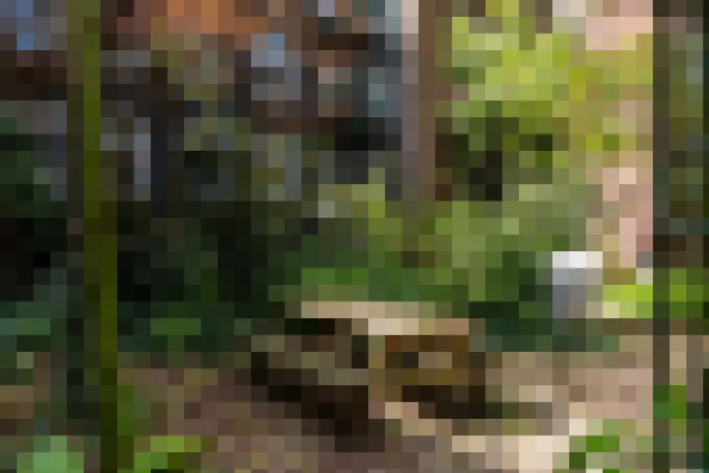 Raamplein 16 Amsterdam thumbnail 32
