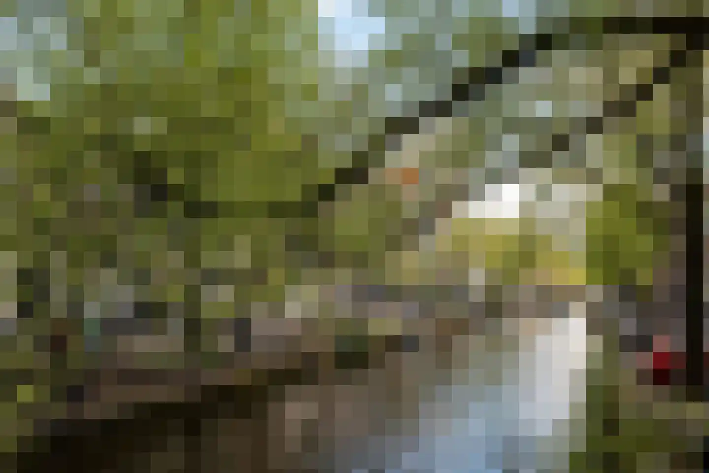 Raamplein 16 Amsterdam thumbnail 32