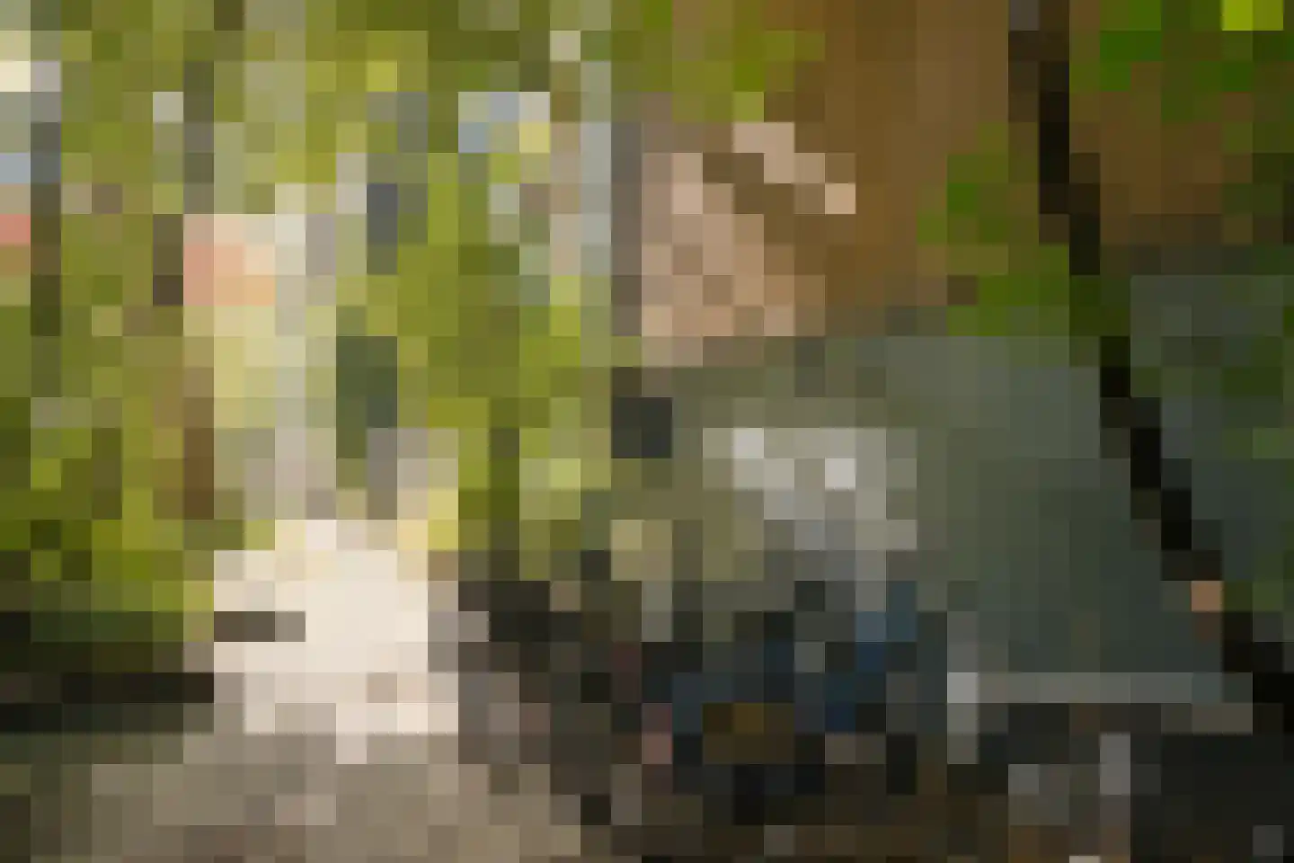 Raamplein 6 Amsterdam thumbnail 24