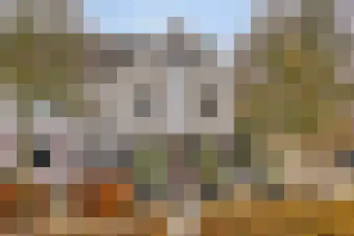 Raampoort 1 Uden thumbnail 10