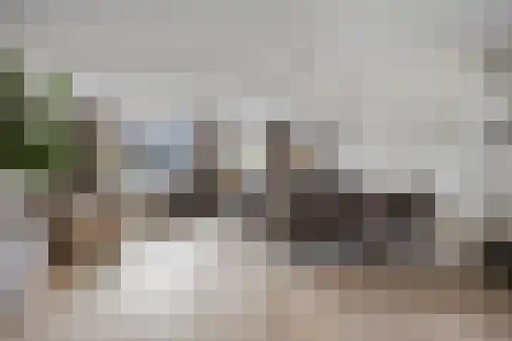 Raampoort 1 Uden thumbnail 14