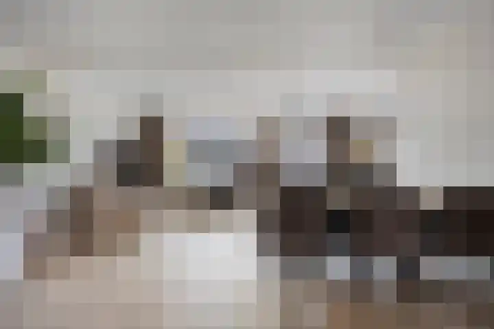 Raampoort 1 Uden thumbnail 15