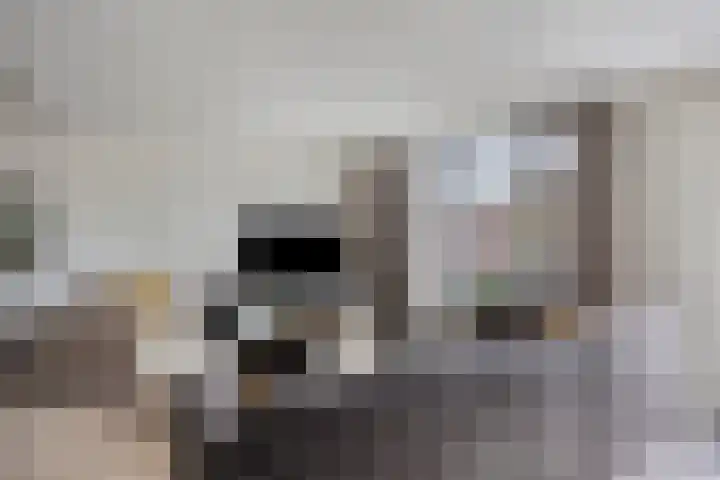 Raampoort 1 Uden thumbnail 17