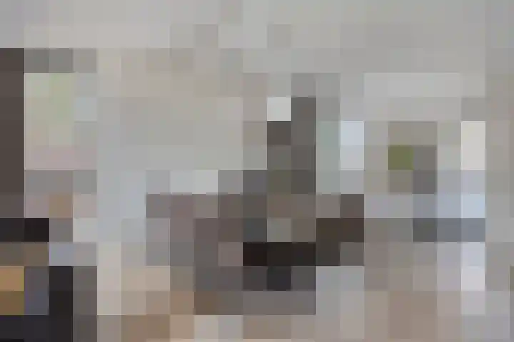 Raampoort 1 Uden thumbnail 18