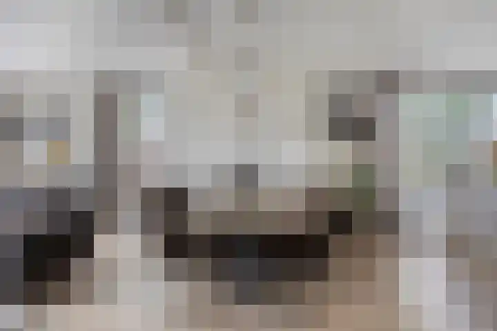 Raampoort 1 Uden thumbnail 19