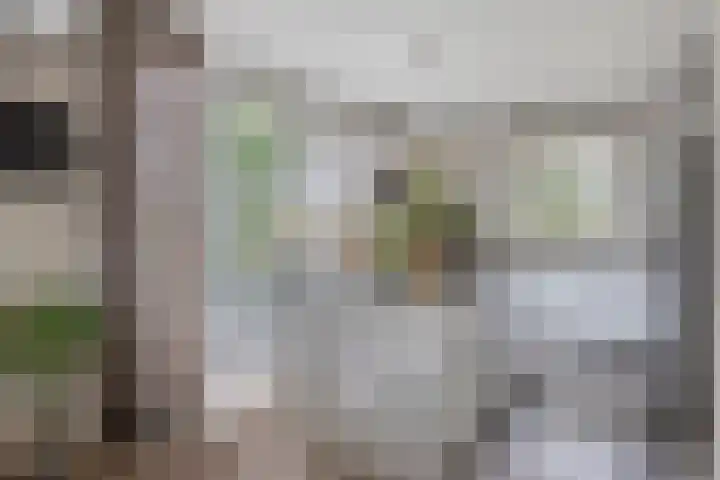 Raampoort 1 Uden thumbnail 21
