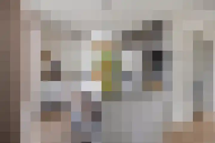 Raampoort 1 Uden thumbnail 22