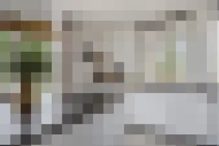 Raampoort 1 Uden thumbnail 23