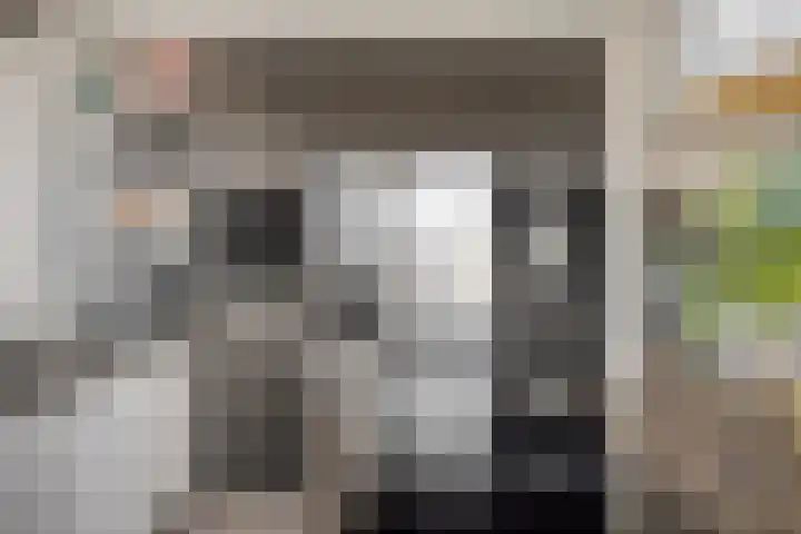 Raampoort 1 Uden thumbnail 24