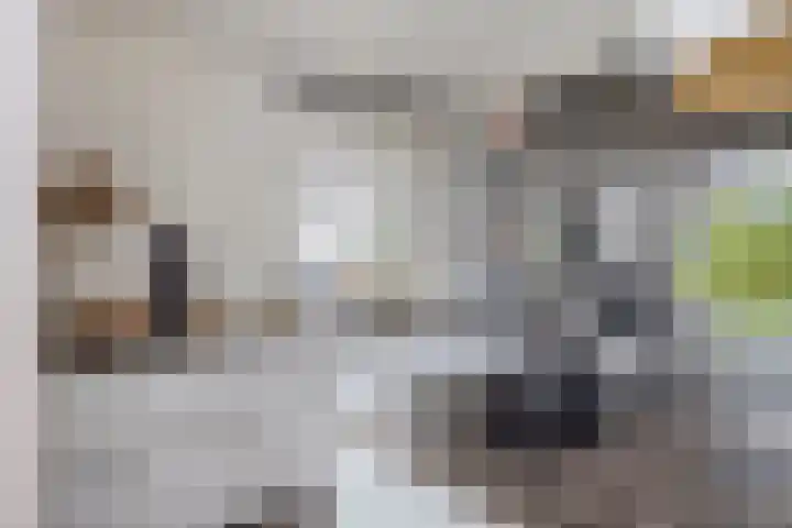 Raampoort 1 Uden thumbnail 25