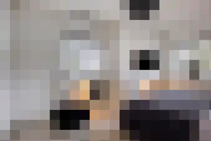 Raampoort 1 Uden thumbnail 26