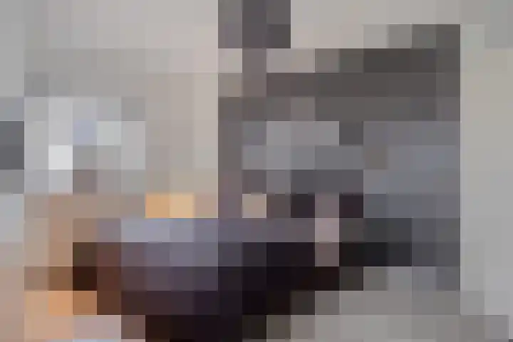 Raampoort 1 Uden thumbnail 27