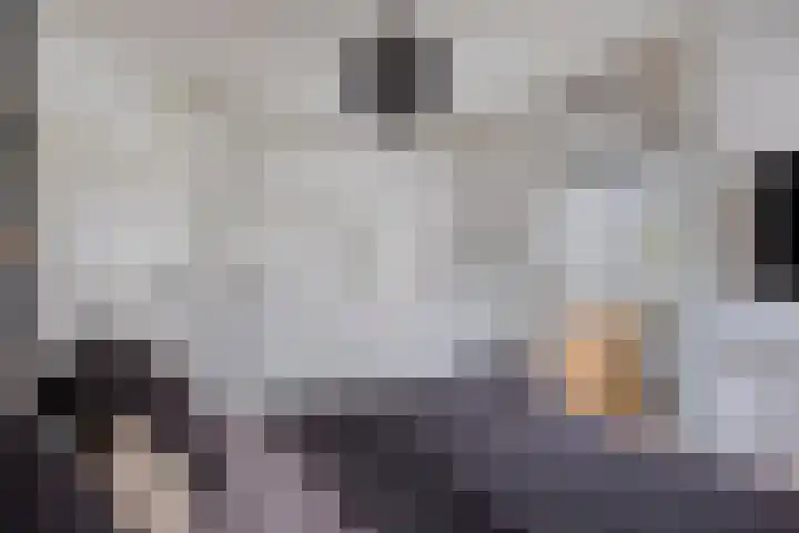 Raampoort 1 Uden thumbnail 28