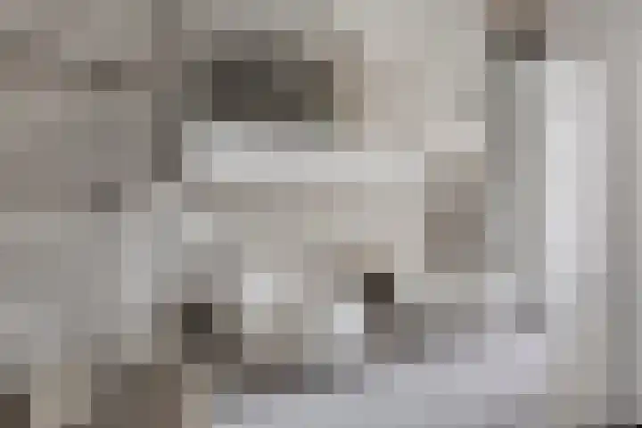 Raampoort 1 Uden thumbnail 30