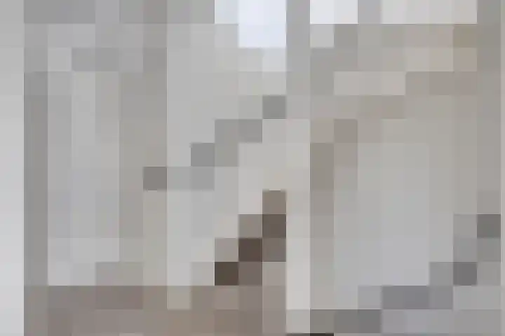 Raampoort 1 Uden thumbnail 32