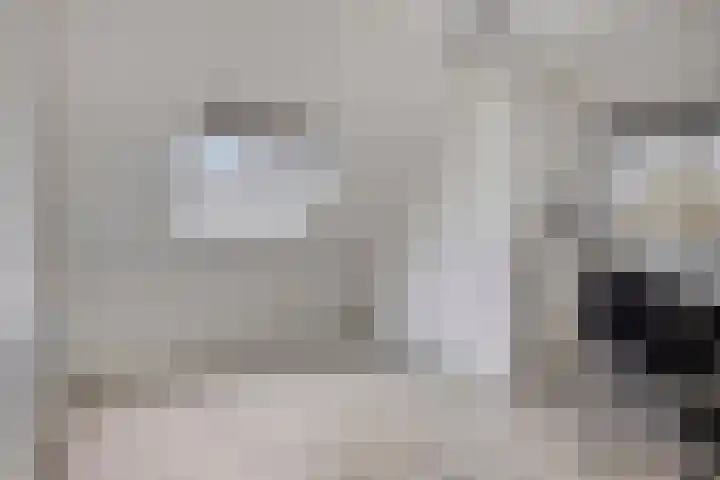 Raampoort 1 Uden thumbnail 33
