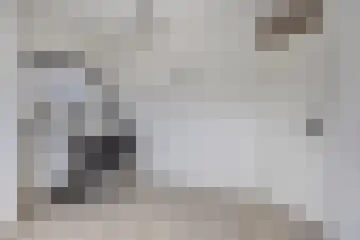Raampoort 1 Uden thumbnail 34