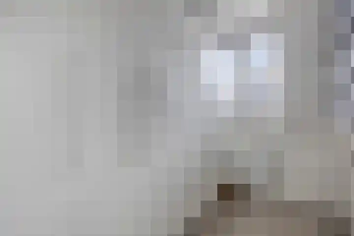 Raampoort 1 Uden thumbnail 35