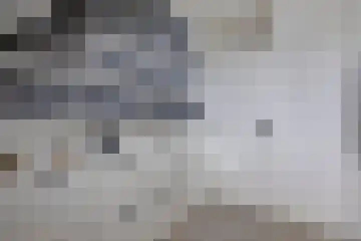 Raampoort 1 Uden thumbnail 36