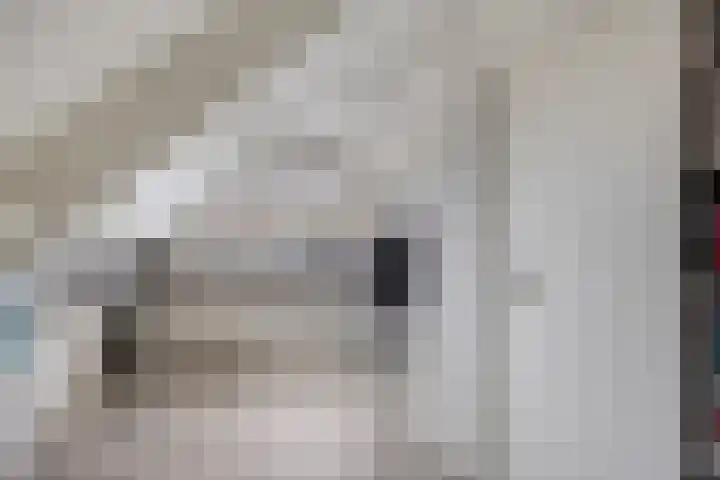 Raampoort 1 Uden thumbnail 37