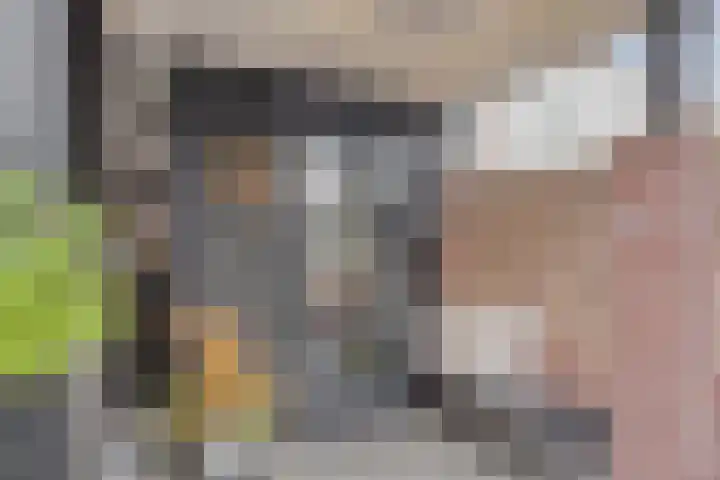 Raampoort 1 Uden thumbnail 43