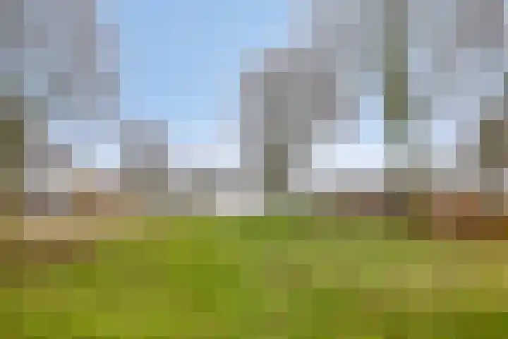 Raampoort 1 Uden thumbnail 46