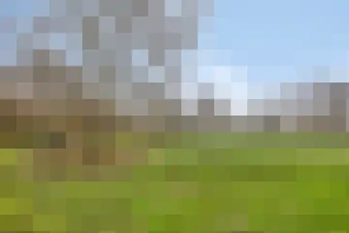 Raampoort 1 Uden thumbnail 47
