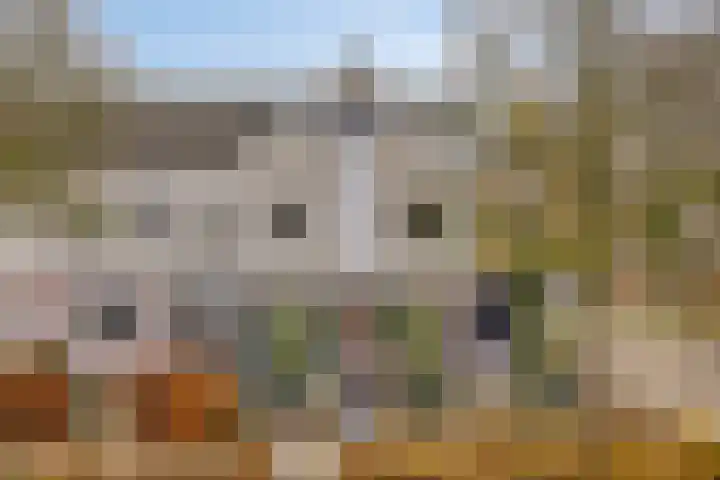 Raampoort 1 Uden thumbnail 9