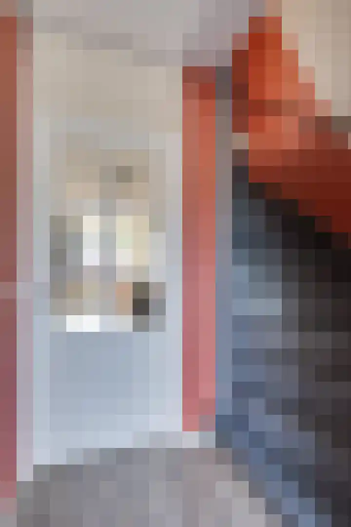 Raampoort 11 Uden thumbnail 11