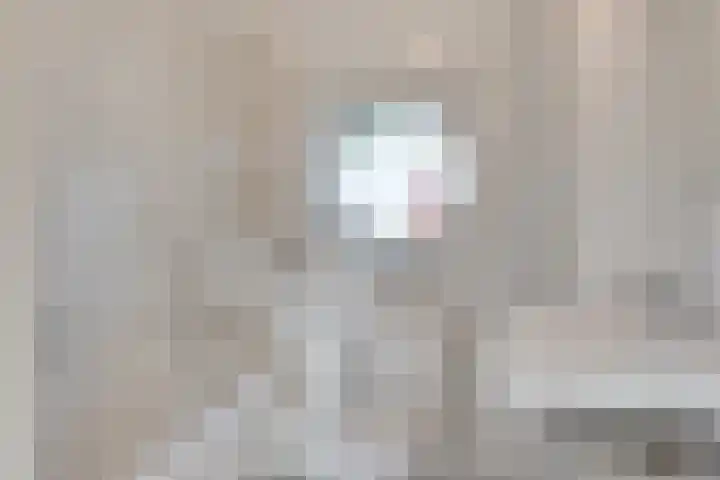 Raampoort 11 Uden thumbnail 15