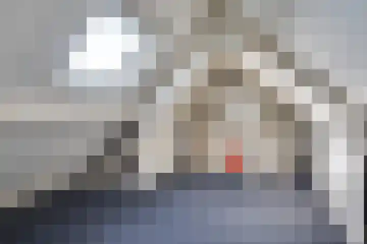 Raampoort 11 Uden thumbnail 17