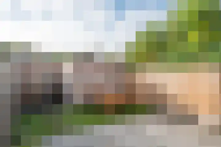 Raampoort 11 Uden thumbnail 21