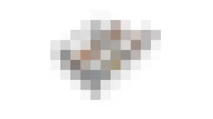 Raampoort 11 Uden thumbnail 27