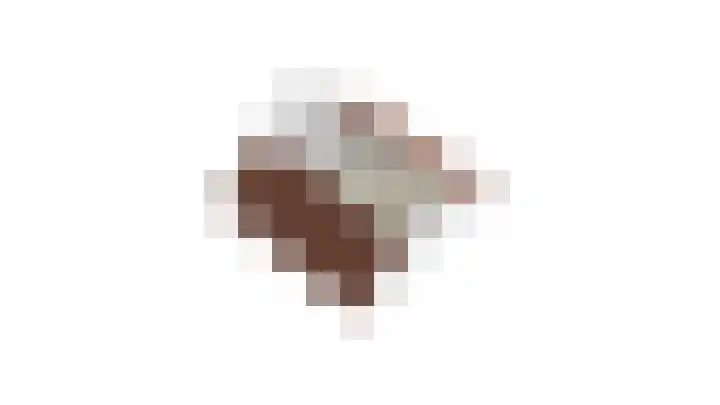 Raampoort 11 Uden thumbnail 29