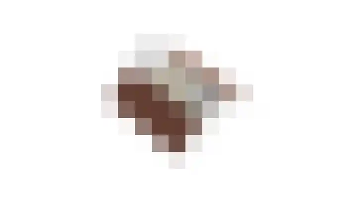 Raampoort 11 Uden thumbnail 30