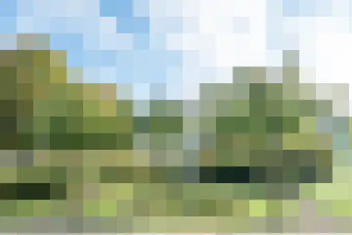 Raampoort 11 Uden thumbnail 4