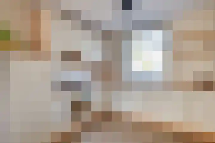 Raampoort 11 Uden thumbnail 9